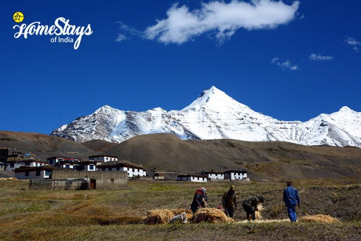 Langza-Spiti