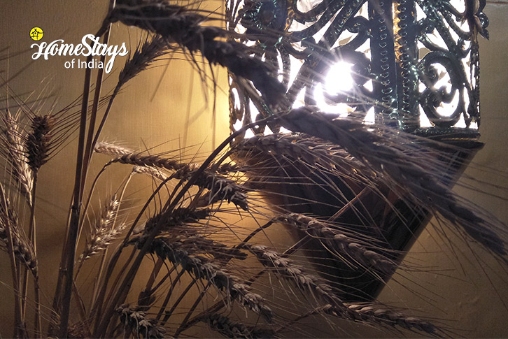 Amenities-Katha Heritage Homestay-Baghpat