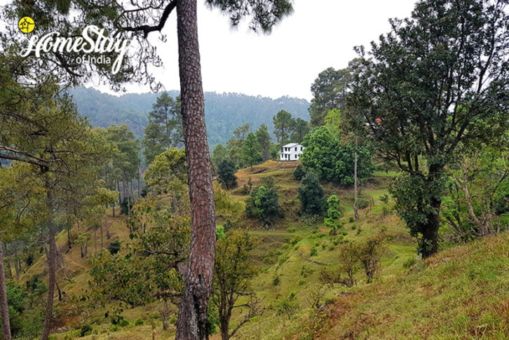 Wildernest Homestay- Binsar-1