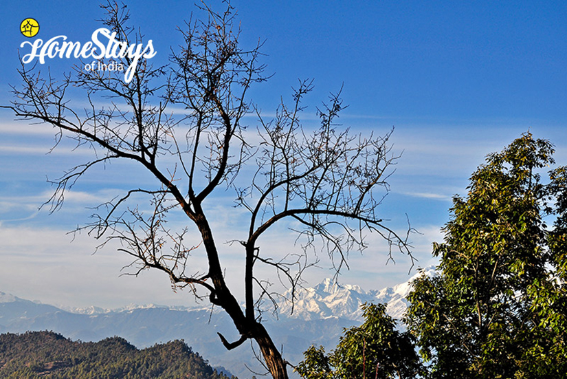 Himalayan-Range_Dalar-Homestay_Binsar