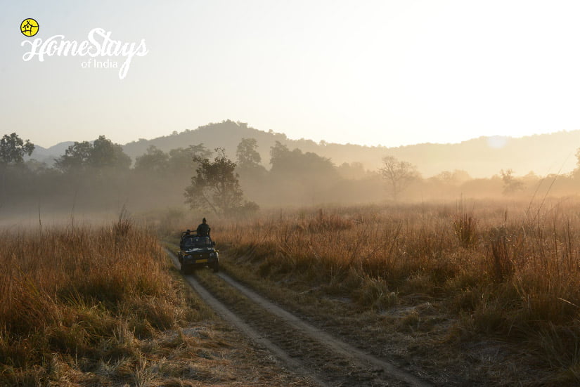 Tiger-Safari-Teda-Village-Homestay-Corbett