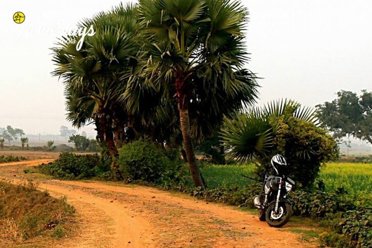 Road to Singi_Singi Homestay-Bardhaman