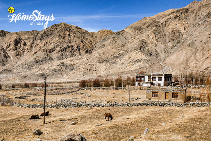 Stand Alone-Stakmo Homestay-Leh