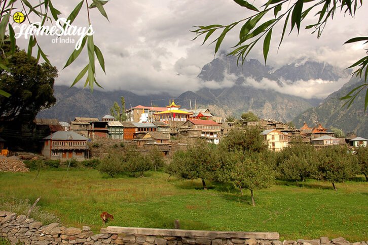 The Village_Kalpa Homestay-Himachal