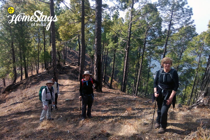 Trekking_Wildernest Homestay- Binsar