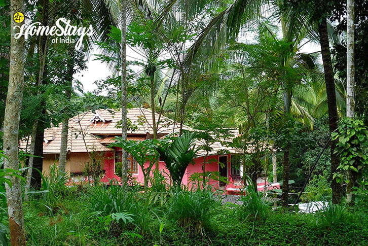 Wayanad Farmstay-Kerala