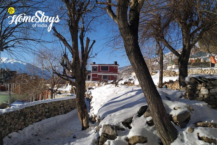 Winter-5_Nako Homestay-Spiti