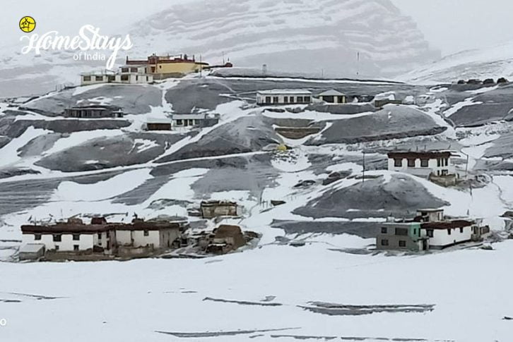 Winter2_Langza Homestay-Spiti