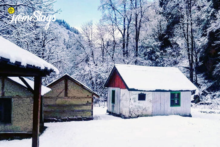 Winter_Ropajani Homestay-Tirthan