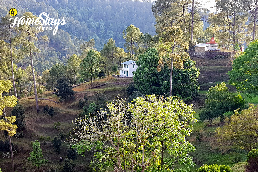 Dalar-Homestay-_Binsar