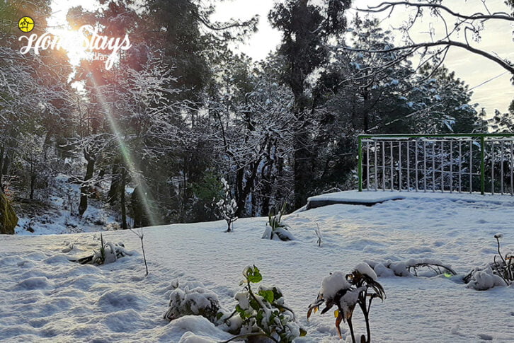 Winter1_Satobari-Homestay-Mcleodganj