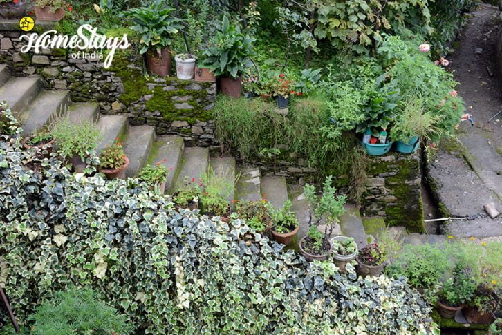 Downstairs-Bohrakote Homestay-Ramgarh