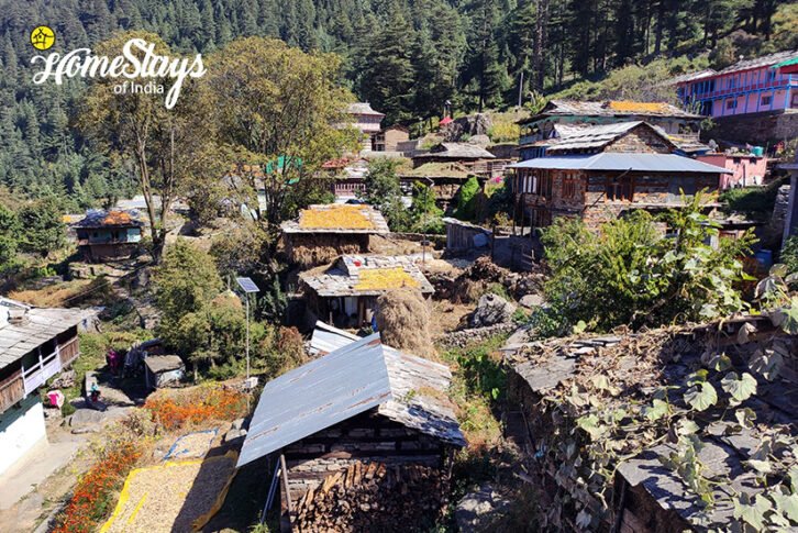 Deohari-village-Sainj Valley Homestay