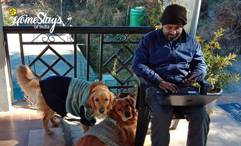 Pet Friendly-Mukteshwar Temple Homestay