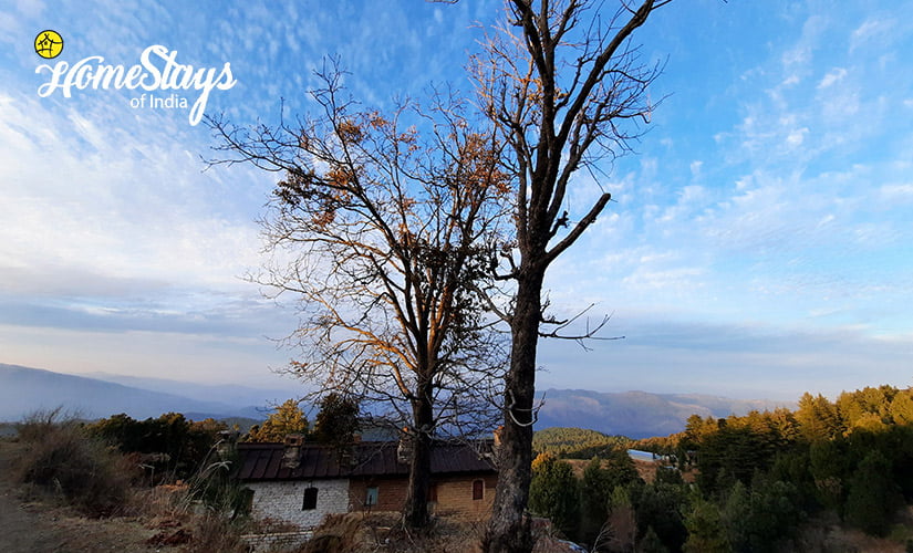 Surrounding-Mukteshwar Temple Homestay