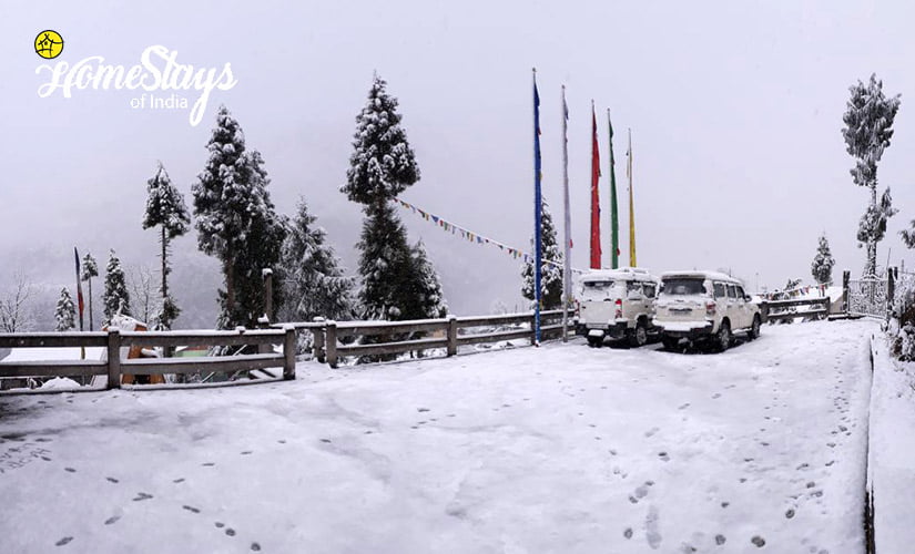 Winter2_Lachung-Homestay