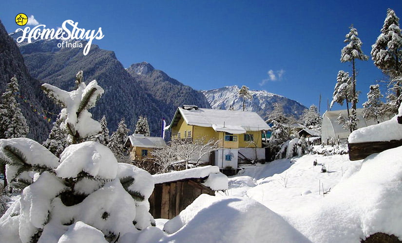 Winter_Lachung-Homestay-Sikkim