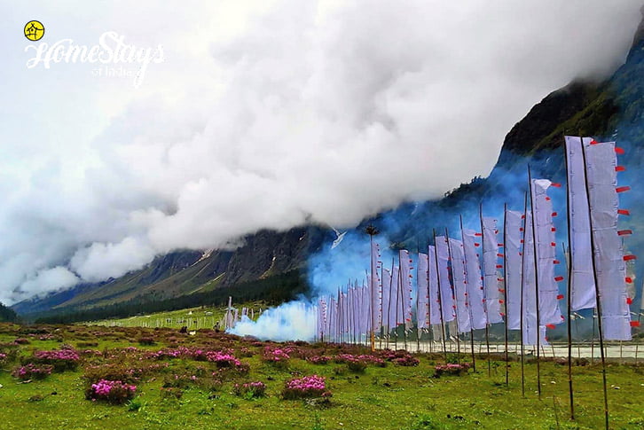Surrounding-Lachung Boutique Homestay