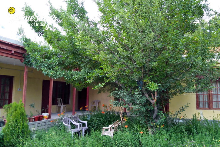 Interior-Sumur-Homestay-Nubra Valley-Ladakh