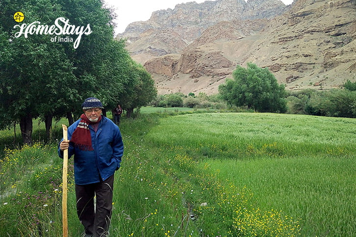 Nature-Walk_Mulbekh-Homestay-Kargil