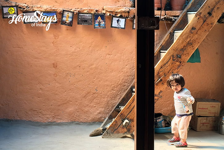 Upstairs_Kaza-Khas-Homestay-Spiti