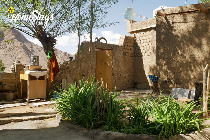 Exterior-Likir-Homestay-Ladakh