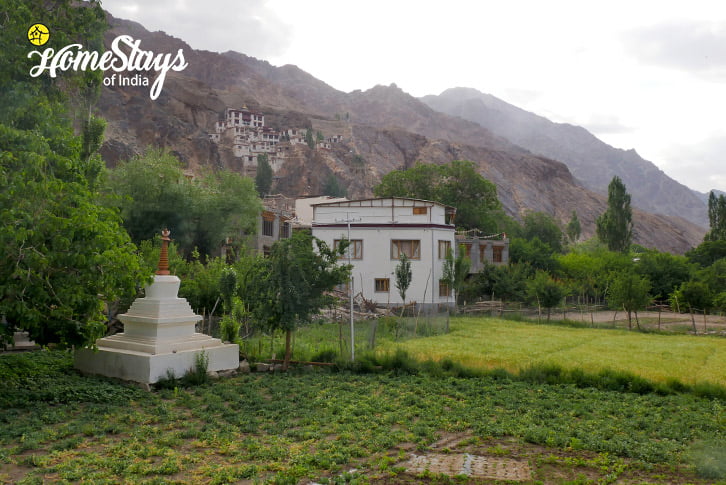 Farming_Skurbuchan Homestay-Ladakh