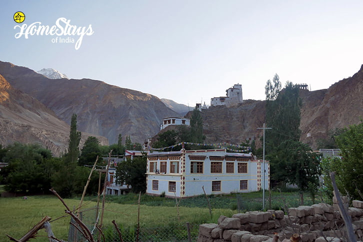 View_Skurbuchan Homestay-Ladakh