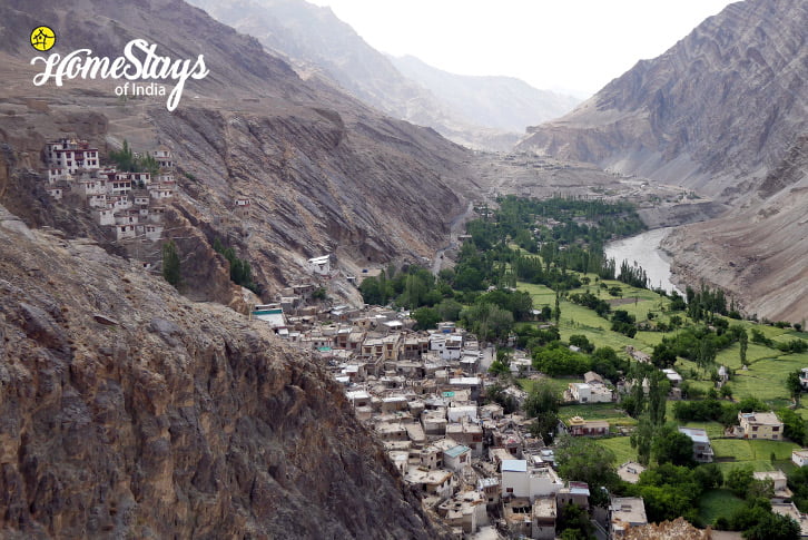 Village_Skurbuchan Homestay-Ladakh