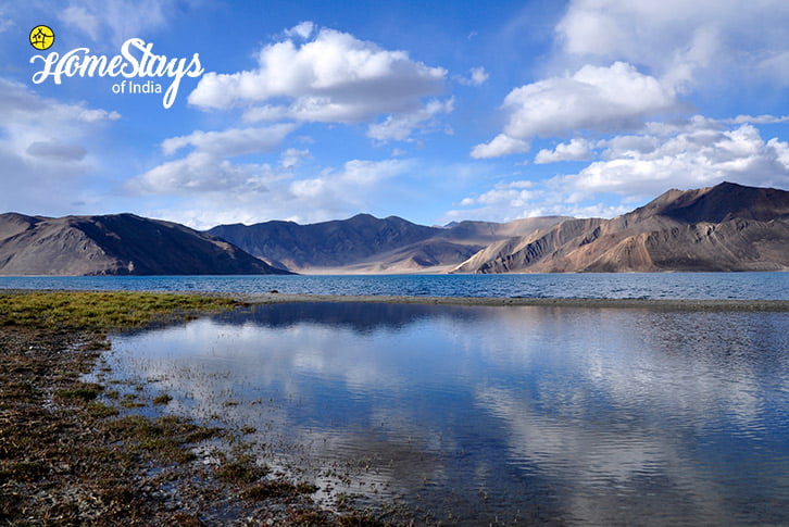 Pangong LakeMerak Homestay-Pangong