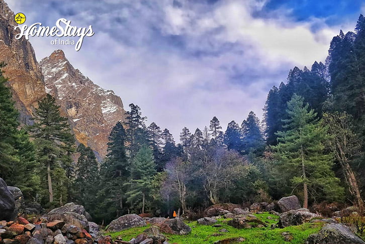 Landscape-Kalgha Homestay-Parvati Valley