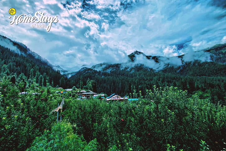 The Village-Kalgha Homestay-Parvati Valley