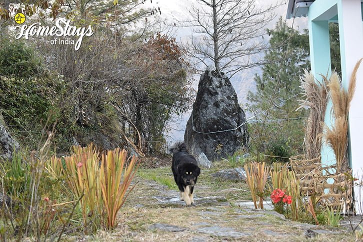 Outskirt-Sky High Homestay-Auli
