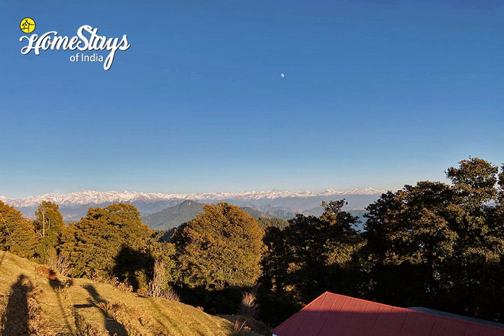 Himalayas-Winter Delight Homestay-Shimla