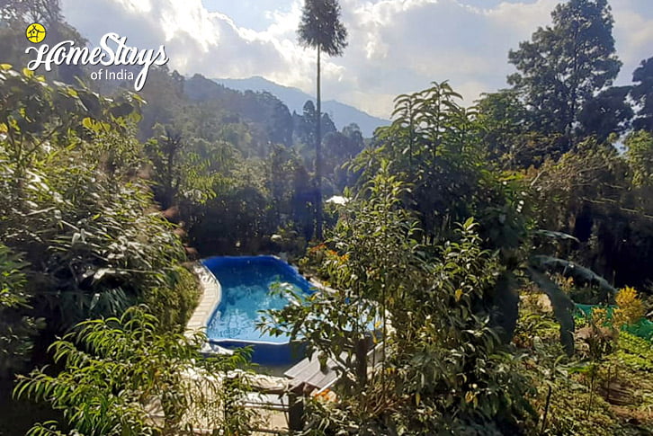 Pool3-Misty-Garden-Homestay-Darjeeling