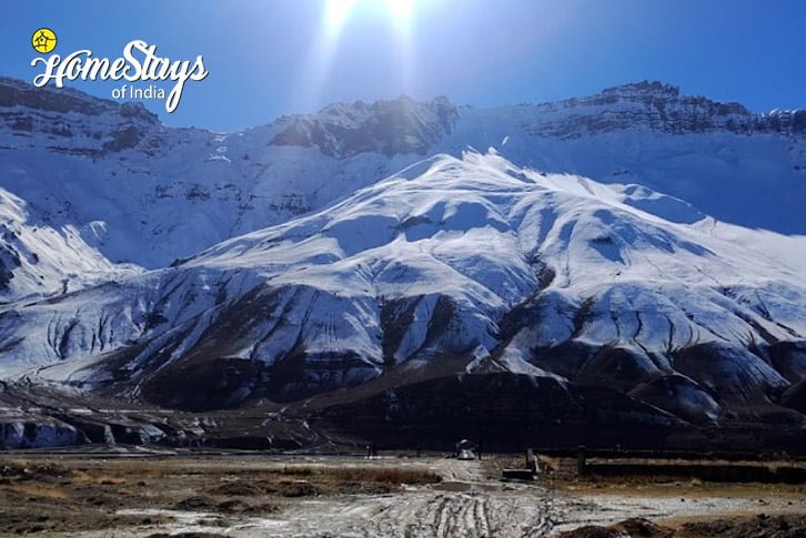 Winers4-Little-Lamas-Homestay-Kaza