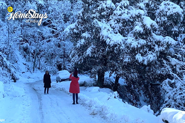 SnowFall-3-Winter Delight Homestay-Shimla