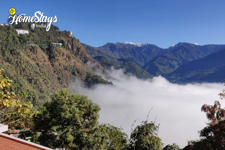Terrace-Cloud-Floating-Clouds-Homestay-Gangtok