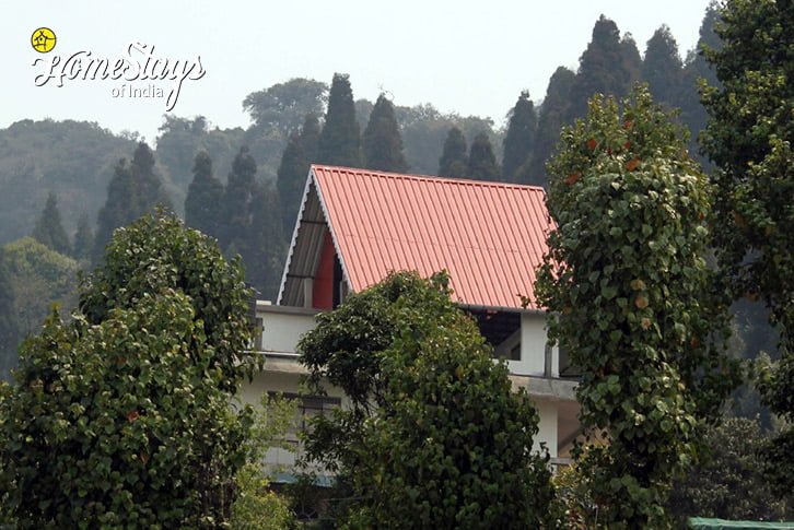 The View2-Evening Delight Homestay-Kurseong