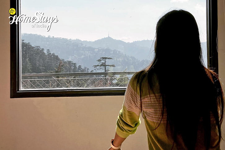 Window View-Winter Delight Homestay-Shimla