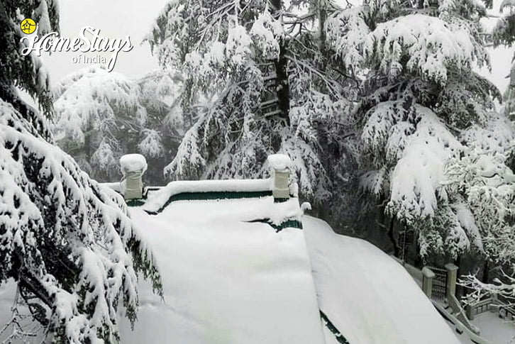 Winter4-Vintage Vibes Bungalow-Shimla