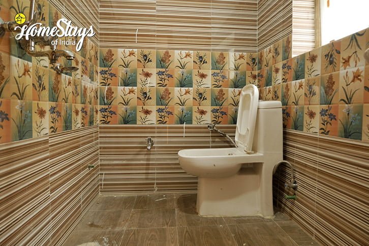 Bathroom-Hanu Riverside Homestay-Aryan Valley
