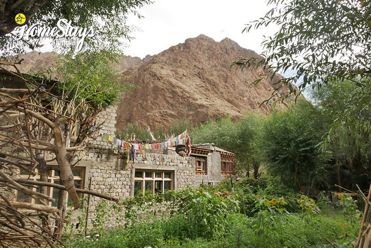 Museum-Hanu Riverside Homestay-Aryan Valley