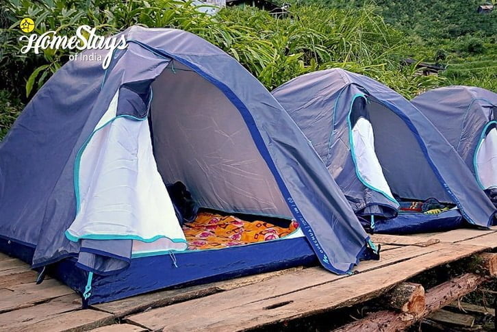 Tent2-Virgin-Nature-Homestay-Darjeeling