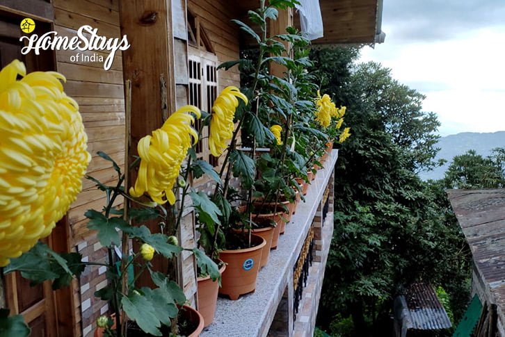 Balcony-Heaven in the Woods-Homestay-Rimbik-Darjeeling