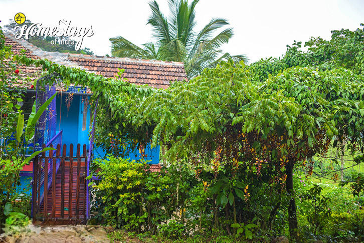 Entrance-1-Morning Breeze Homestay-Coorg