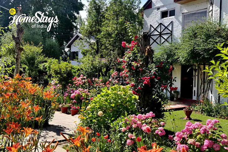 Garden-2-The Blooming Beauty Homestay - Srinagar