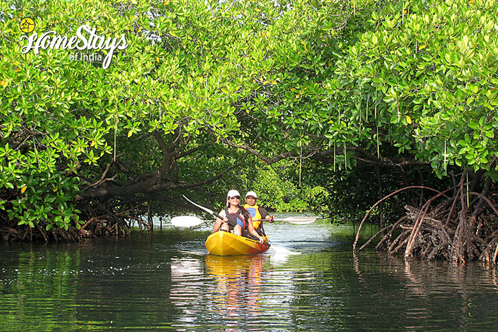 Kyaking-The-Unique-Parsi-Homestay-Port-Blair