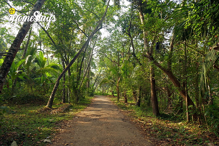Road-Kallada-Homestay-Munroe-Island