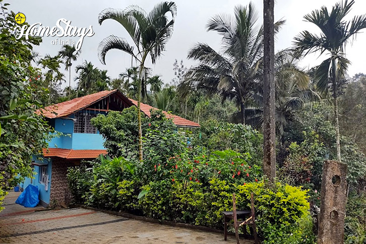 View-Morning Breeze Homestay-Coorg